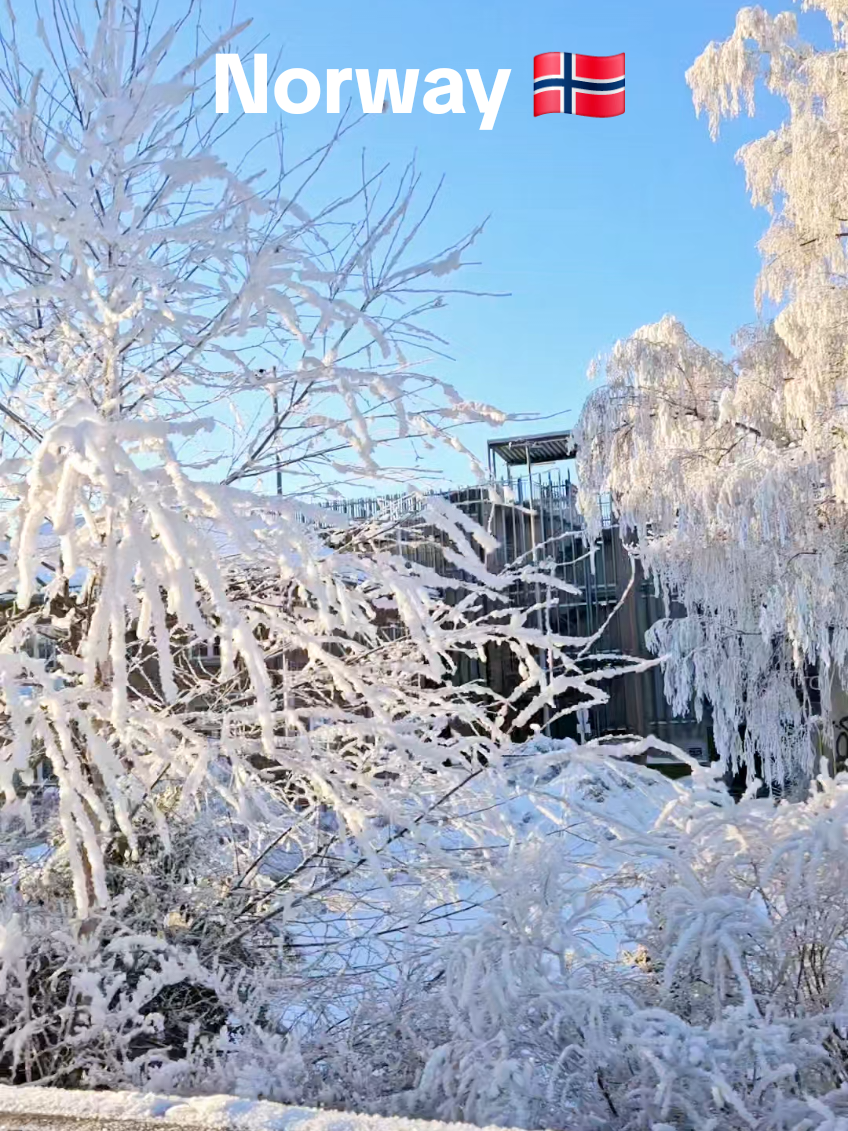 #foryoupage #fypシ゚viral🖤tiktok #UK #foryou #viral 