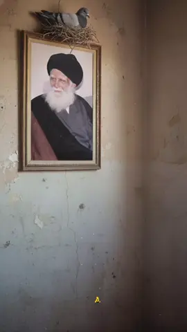 #تصميم_فيديوهات🎶🎤🎬 #السيدالشهيدمحمدالصدر_قدس💔🥀 #المولى_المقدس #التيار_الصدري_عائلتي_الكبرى 