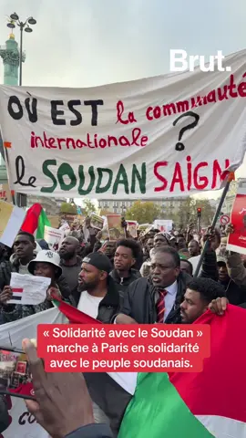 « Solidarité avec le Soudan »  marche à Paris en solidarité  avec le peuple soudanais. #paris #soudan