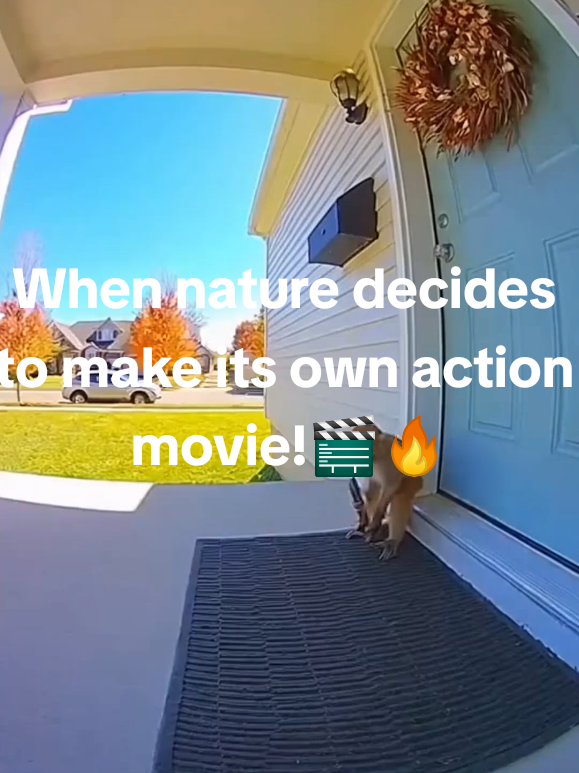 🚨 POV: You gave the monkey too much confidence 😭🐒 #EpicFail #FunnyVideoThat monkey really said “I got this”… then didn’t 😂💣 #MonkeyGoneWrong #CaughtOnCameraWho gave this monkey a shotgun?! 💀📸 #AnimalFails   Monkey faildoorbell camera Funny momentscaught on Cameraanimal funny Camfunny TikTok Clipsmonkey recoil Reactionsuburban camera Footageviral short video 2025