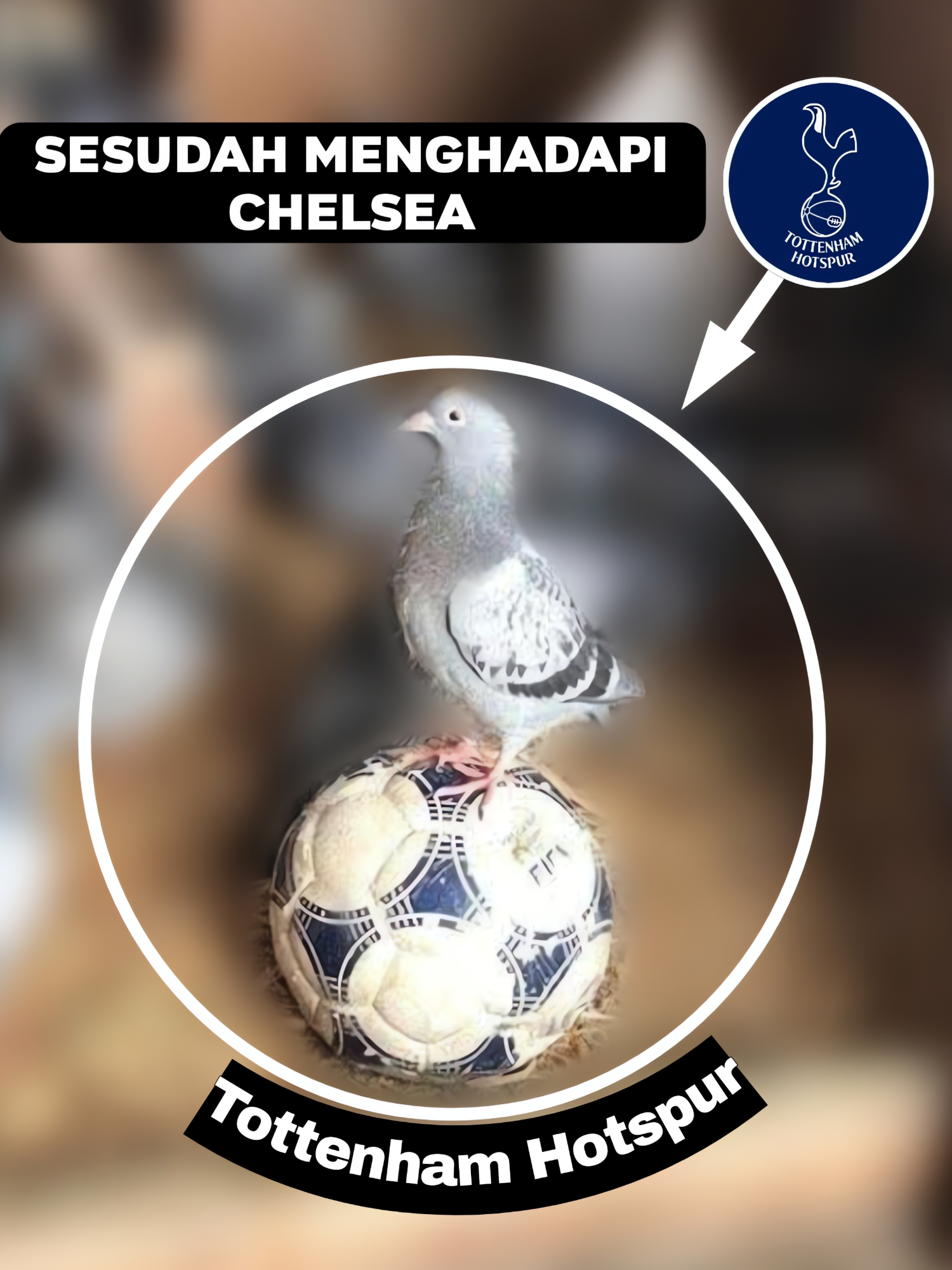 Derby London | Chelsea mengalahkan Tottenham dengan skor 1-0 || #fyp #chelsea #PremierLeague #tottenham #joaopedro