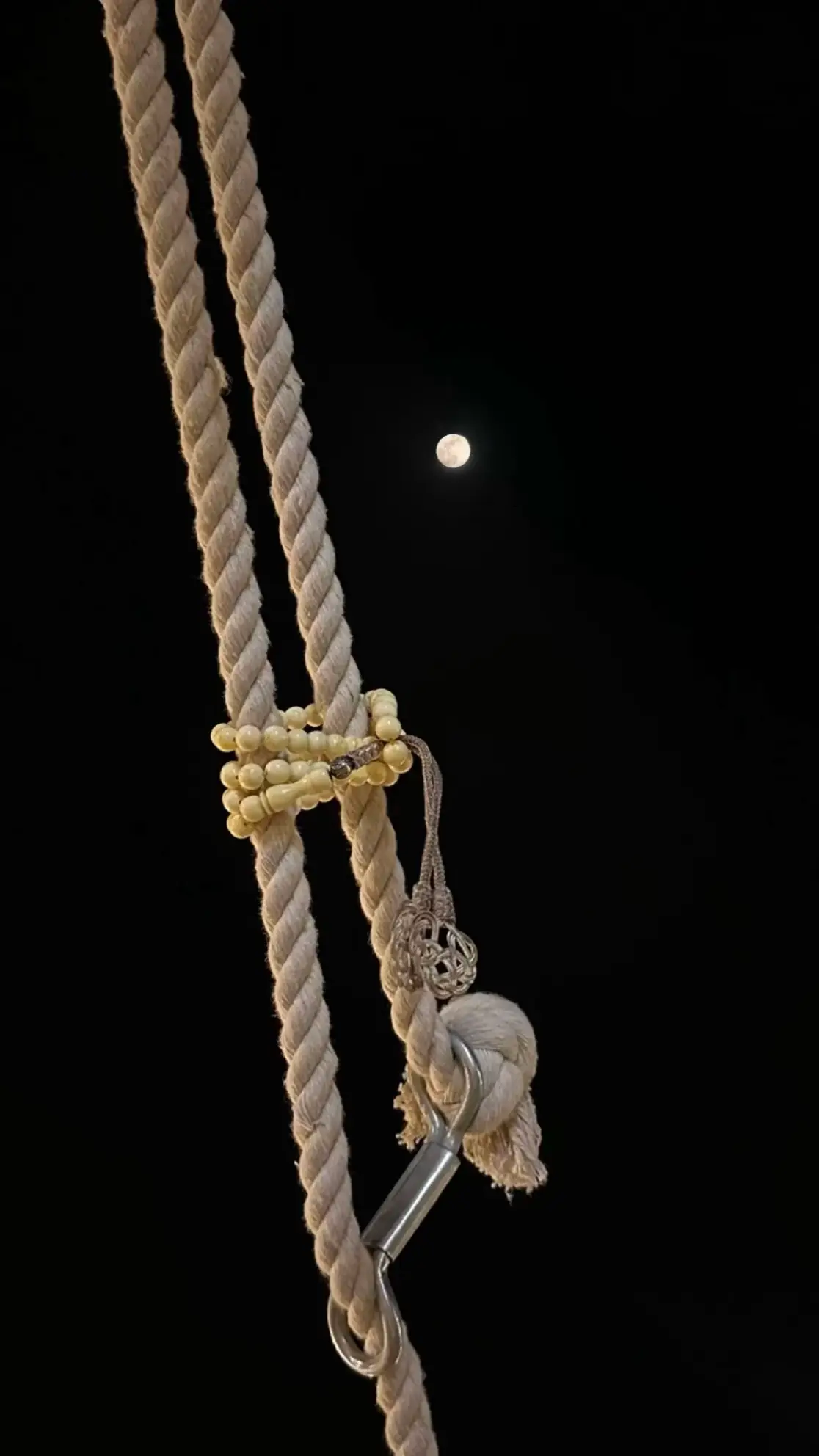 ضيدان بن قضعان🌷🎶