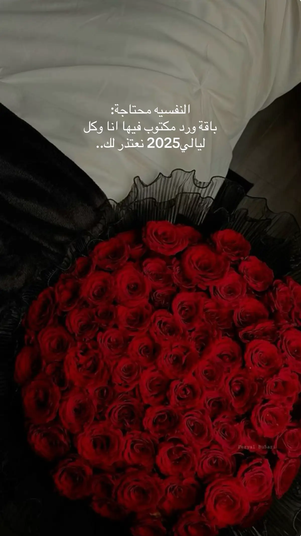 #اكسبلورexplore #قطر_الدوحة🇶🇦 #احبكم_يا_احلى_متابعين #شتاء_الهدوء_صوت_المطر #محمد_عبدو_فنان_العرب 