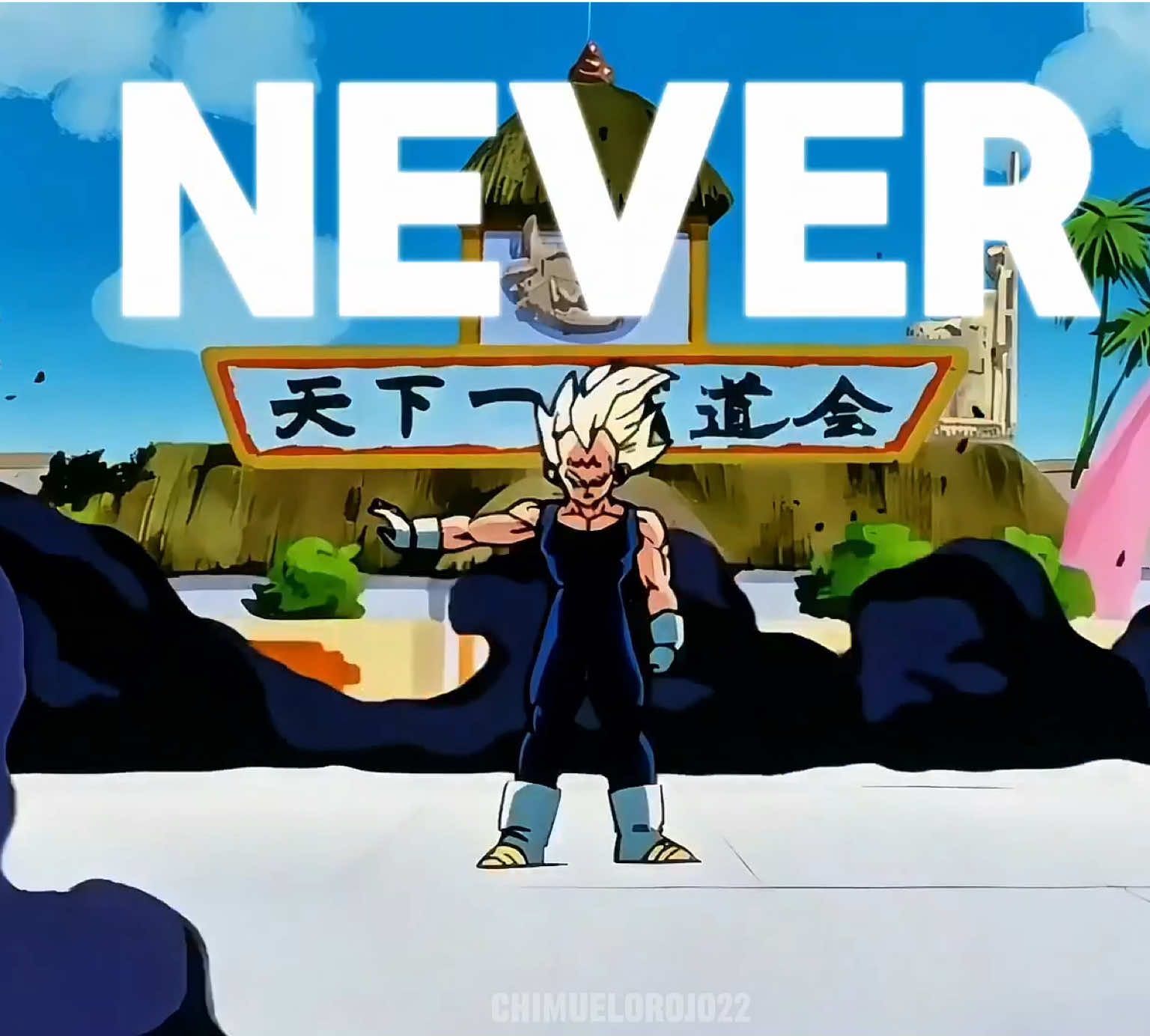 This fits Vegeta very well if you ask me #edit #fyp #hisnameispride #dbz #vegeta 