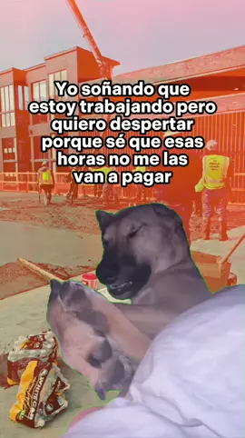 Su merced soñando que esta trabajando pero se quiere despertar porque esas horas no se las van a pagar 😂 #Meme #MemeCut #CapCut #504🇭🇳🔥🔥viral #parati 