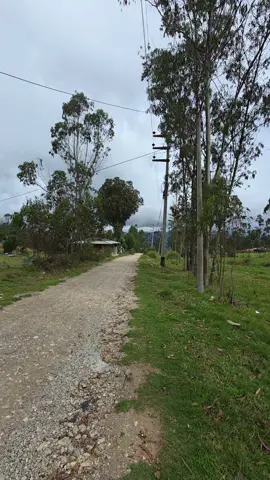 Campo #bambamarca_cajamarca_peru🇵🇪 #peru #cajamarca_perú🇵🇪 #cajamarca_perú🇵🇪 