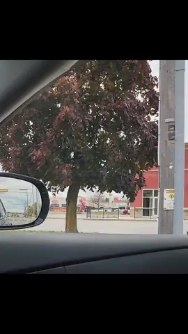 #nokings 🤮🤮🤮 #trumpisyourdaddy #notyourking #getalife #fyp 