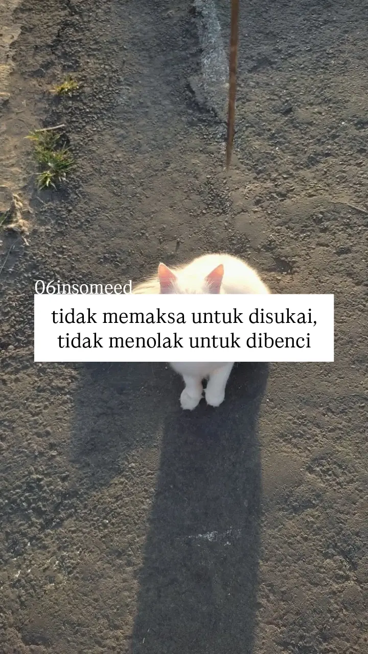 #foryoupage #bismillahfyp #katakata #zmn14 