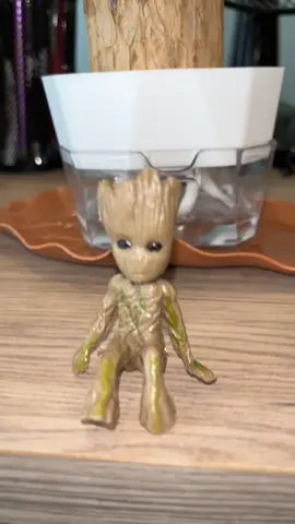 This Brazilian wood tree transformed my space 🌳✨ Easy to care for, air-purifying, and aesthetic. #plantlovers #PlantTok #brazillanwood #planttherapy #easytogrow 