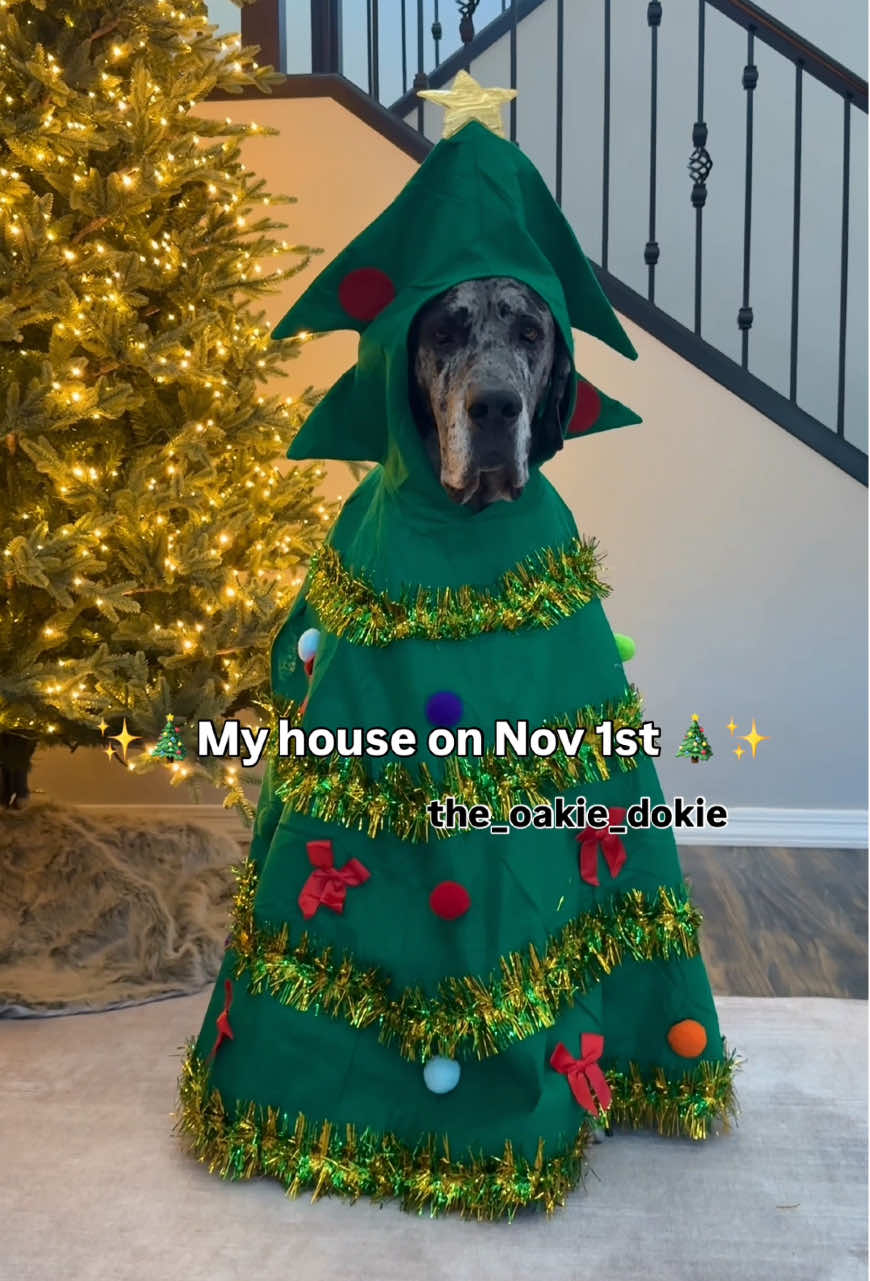 One of these trees sheds more than the other🎄 #christmastime #christmasiscoming #dog  #dogsoftiktok 