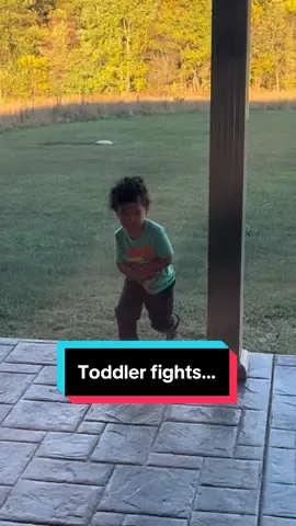 Toddler fights are hilarious 🤣 #toddler #fighting #terribletwos #tantrum #momlife 
