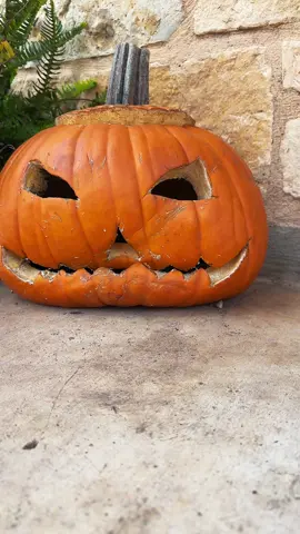 #jackolantern #pumpkinseason 