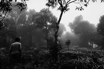 عافني بوكت الحزن..!!#اغاني_مسرعه💥 #اغاني_عراقيه #تصميمي❤️ #اغاني_عراقيه_مسرعه💥🎧 #اغاني_عراقيه 