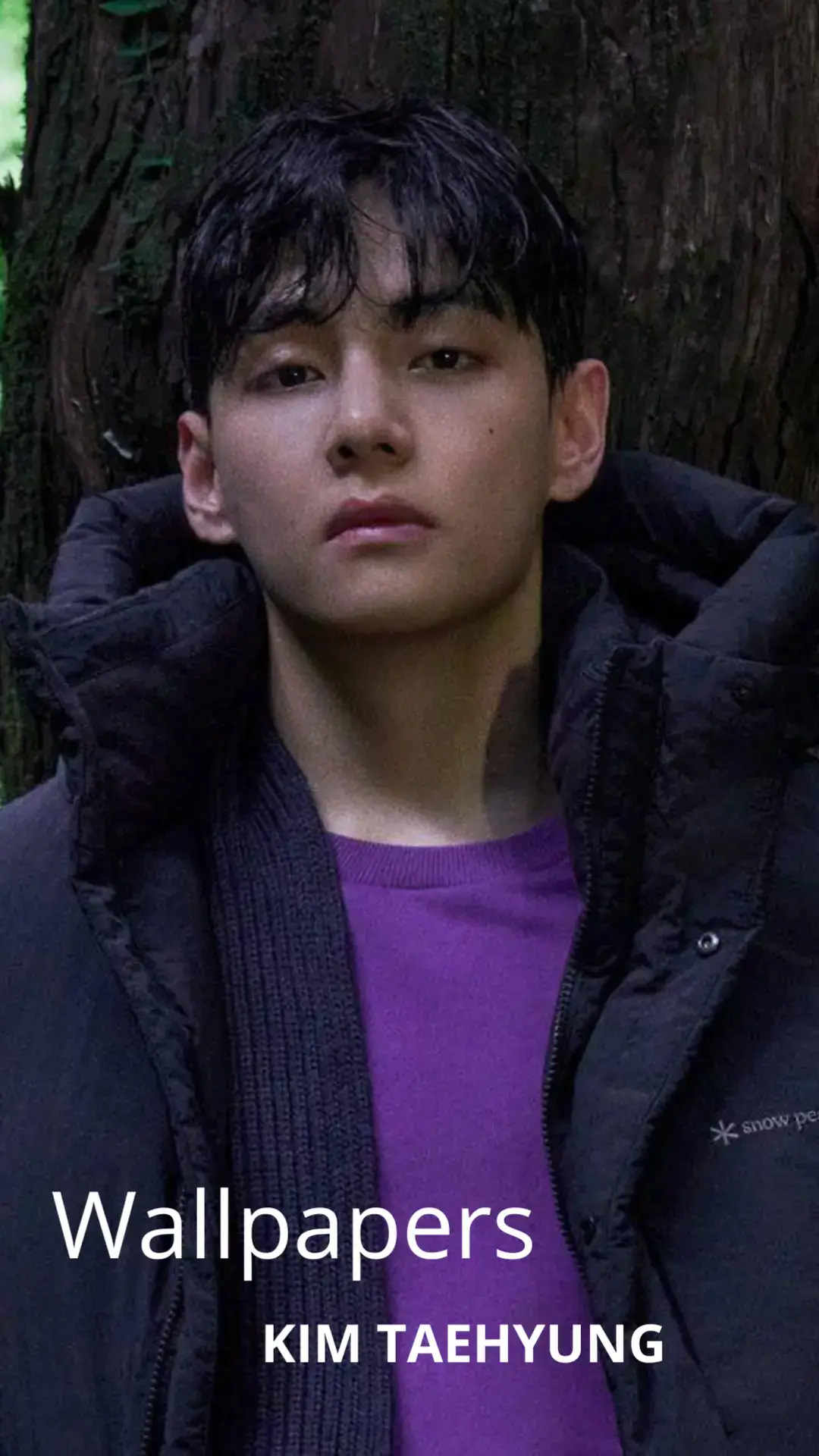 #wallpapers#kimtaehyung#v#bts#Otoño