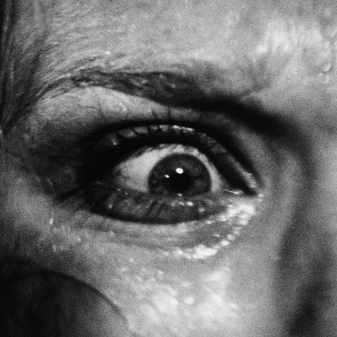 MAN BLOOD #residentevil #beladimitrescu #fyp #edit 