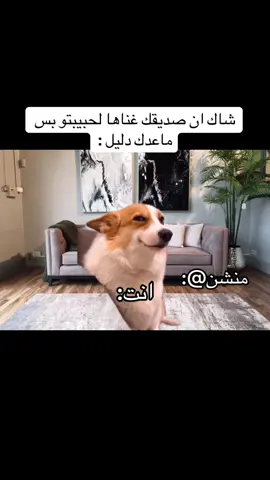 إذا تحب تضحك تابعني وتابع هاذا الحساب @الهاشمي 🇮🇶 #متابعه_ولايك_واكسبلور_احبكم #الشعب_الصيني_ماله_حل😂😂 #الشعب_الصيني_ماله_حل😂 