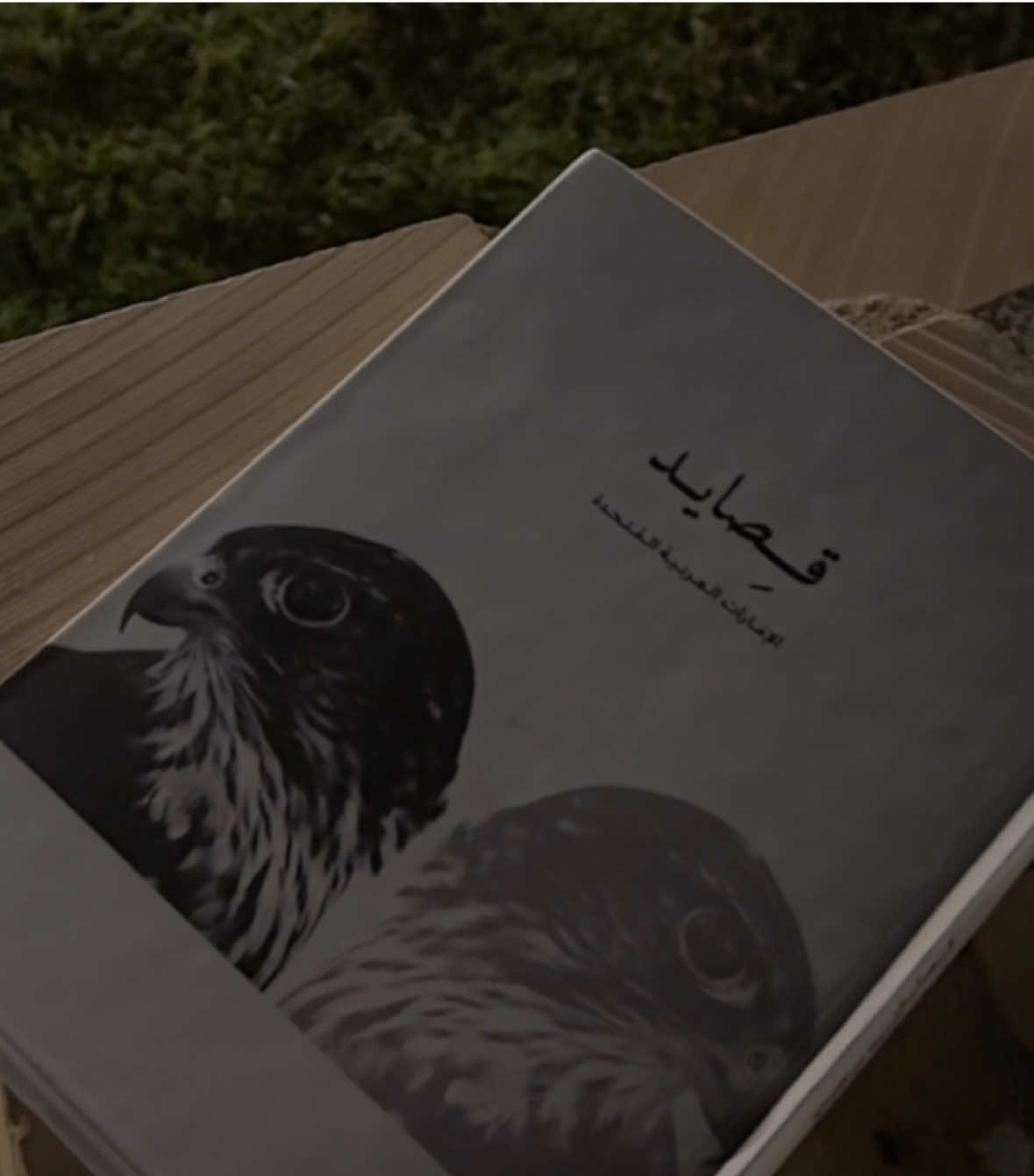 ❤️ #قصايد #viral #trending 