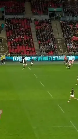 @Sacha Feinberg - Mngomezulu @Springboks.rugby #foryoupagee #viral #rugby #fyp 