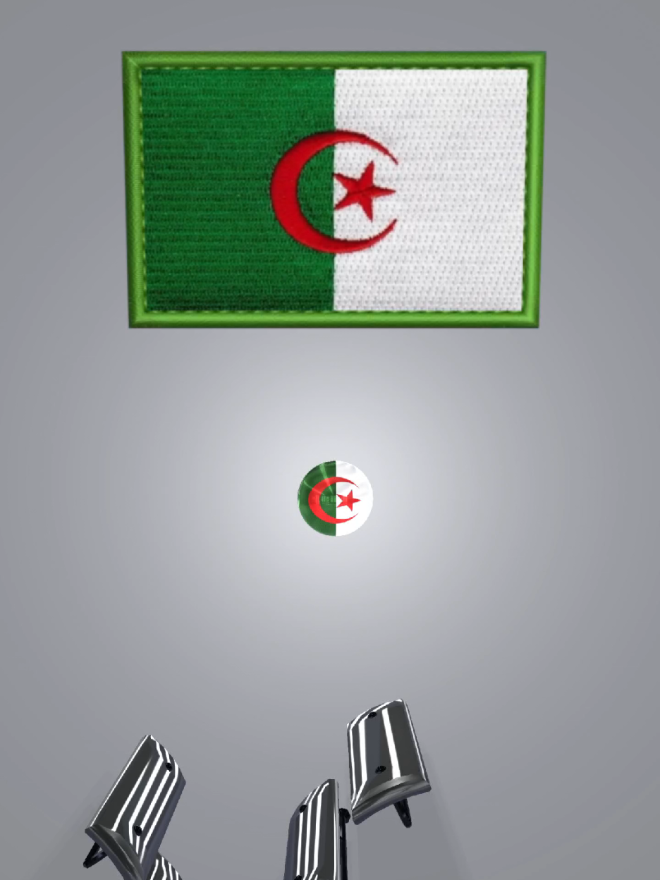 #الجزائر #dz #اول_نوفمبر_1954  #algerie🇩🇿 #الوطن_العربي 