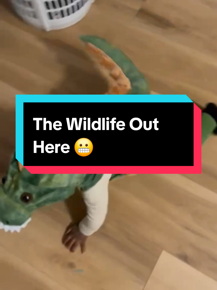 The wildlife out here is crazy. #boymom #wildlife #asseenontv #dinosaur #babyboy 