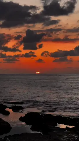 cheb faycal 🎵 #تصميم_فيديوهات🎶🎤🎬 #mounir_patchico #fyp 