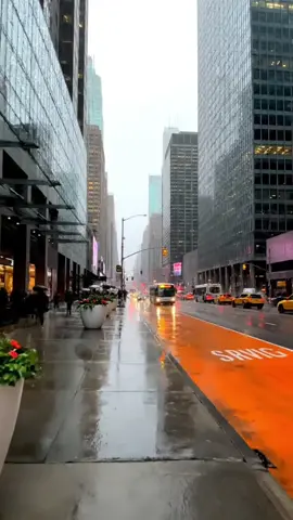 favorite Street #fyp #CityVibes 