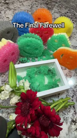 Say good bye to scrubby, as he is laid to rest. #scrubby#scrubdaddy #CleanTok #fyp #rip 
