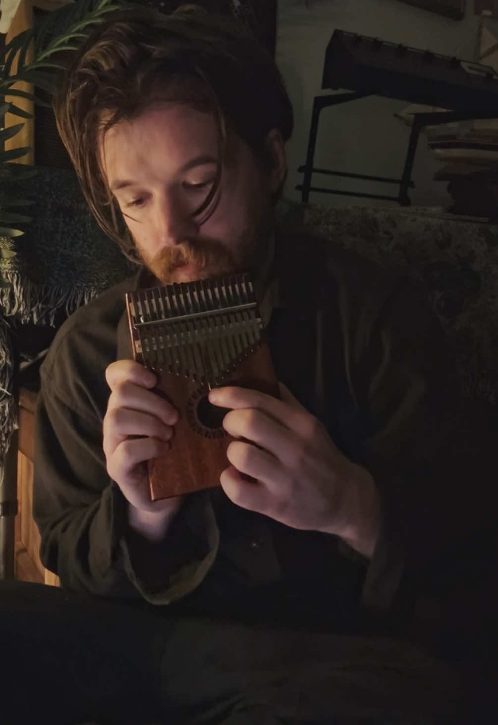 Never going back again @Fleetwood Mac @Lindsey Buckingham #guitar #cover #fleetwoodmac #lute #kalimba