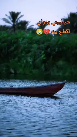 #اهوار_الچبايش #fypシ゚ #شعب_الصيني_ماله_حل😂😂 #محضورة_من_الاكسبلور🥺 #لايك__explore___ 