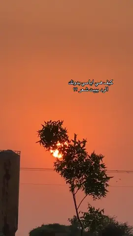 #الرد الاروع اعجاب 🩷