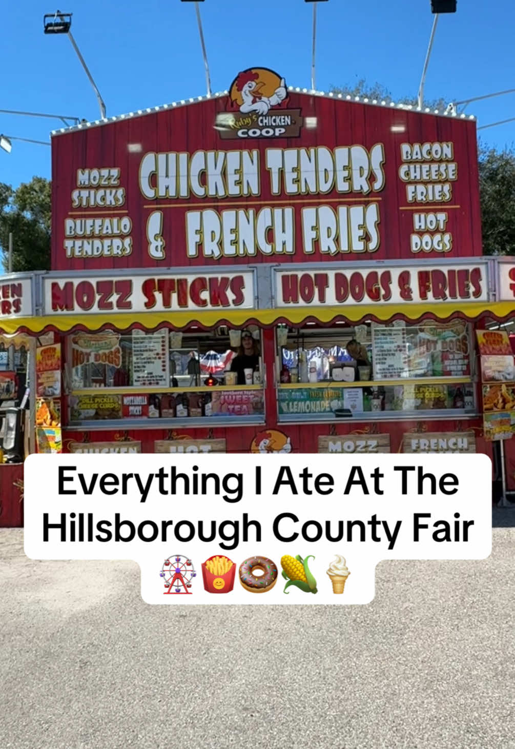 Everything I ate at the Hillsboriugh County Fair 🎡🍟🍩🍦Hillsborough County Fair is back! From now until Nov 9th! #fairfood #drpepper #everythingiate #foodreview #tastetest 