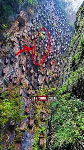 El Bosque Prohibido de China Donde Vigilan Criaturas Misteriosas: Shennongjia #shennongjia #china #chinatiktok 
