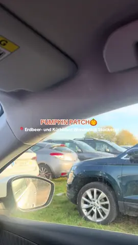 so süsss hier🥹🥹 #fy #pumpkinpatch #nearvienna #kürbishofwunderlich #pumpkinseason 
