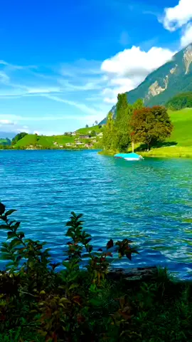 #روائعالقرآنالكريم  #اسلاميات #ديني #قرآن 