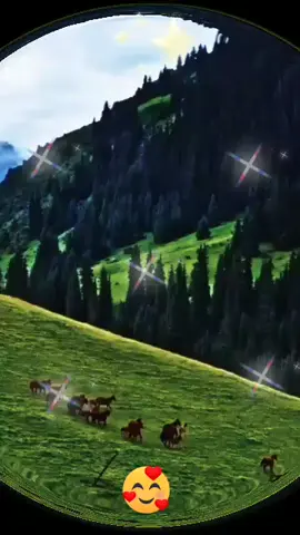 #اصيحنا في زمن،،،🫣🫣🫣💥❤️👍