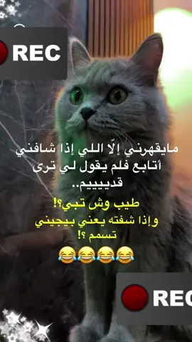 #في هذا اليوم 