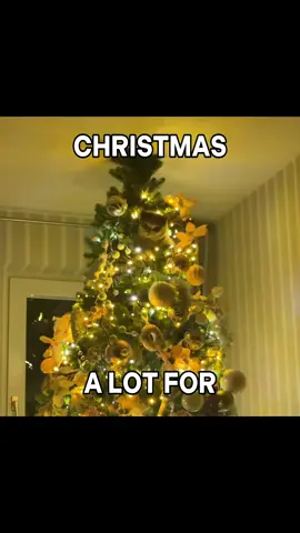 ❄️❄️⛄️ALL I WANT FOR CHRISTMAS IS YOU 🙀😻😽🎁🎄 #mariahcarey #christmas #cats #cattok #catsoftiktok 