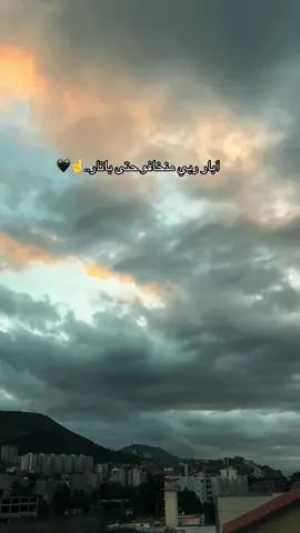 🦍😮‍💨…..#king #🖤 #🦍 