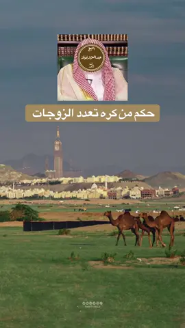 حكم من كره تعدد الزوجات #ابن_باز #صالح_الفوزان #ابن_عثيمين #السعودية #سوريا 