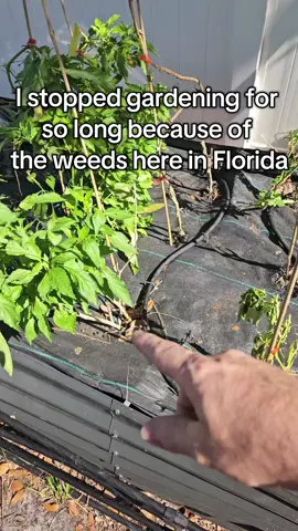 I shoulda got this sooner! I never woulda missed a beat! #gardening#vevor#tiktokshopblackfriday #tiktokshopcreatorpicks #tiktokshopcybermonday @Vevor Store US 