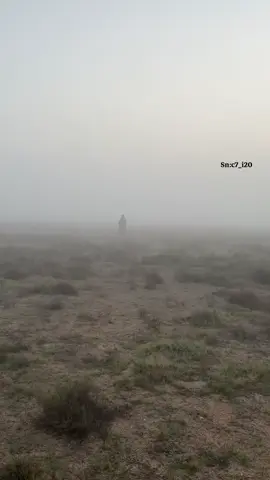 #قصايد_شعر_خواطر_أكسبلوررر✍️🤍 #اكسبلوووور 