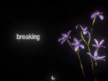 stereo love>> #aesthetic #songs #lyrics #musicvibes #fyp 