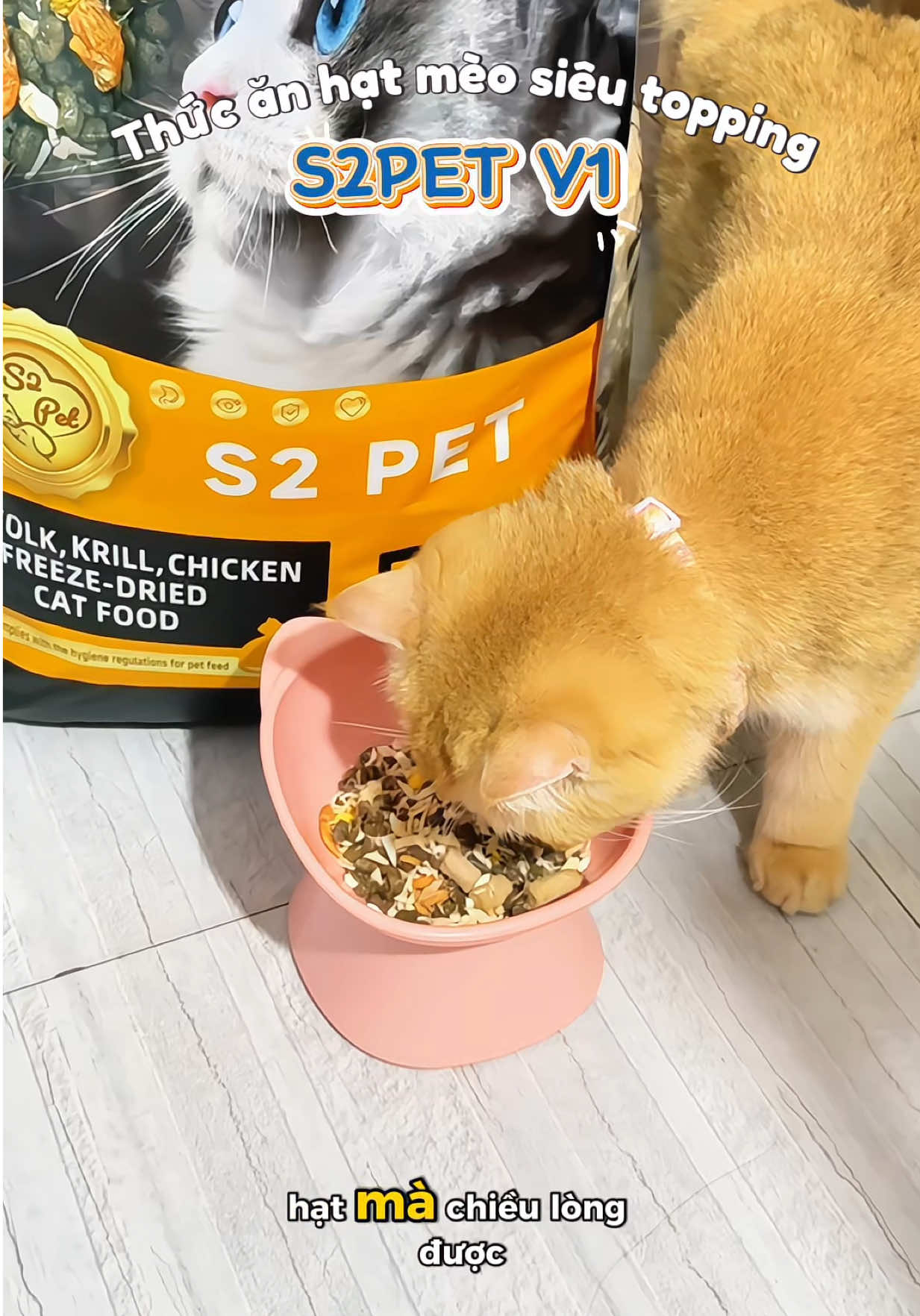 Thức ăn hạt cho mèo S2PET V1 đạm cao siêu nhiều topping, giả hạt dễ các em mèo đều thích mê 😻 #thucanhatchomeo #thucanchomeo #hatchomeo #s2petv1 #thucanmeo 