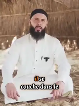 Un jour , une vie : jour 31 (partie 3) 