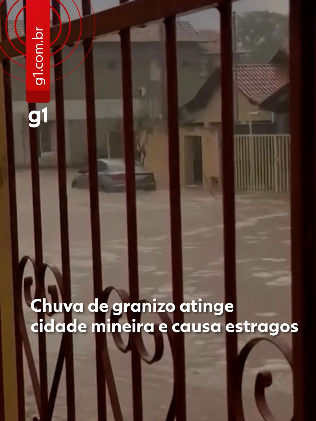Minas Gerais - Uma chuva de granizo atingiu a cidade de Luz, no Centro-Oeste de Minas, na tarde de sexta-feira (31). O temporal, que durou poucos minutos, foi suficiente para cobrir vários locais, como ruas e praças com pedras de gelo e causar estragos. Imagens publicadas nas redes sociais mostram o chão completamente tomado por granizo e folhas espalhadas pelo vento em vários pontos da cidade. O granizo também danificou veículos e quebrou vidraças de prédios públicos, incluindo as janelas da Prefeitura de Luz. Um morador relatou prejuízos com o teto de um galpão atingido durante a chuva. Saiba mais no #g1. #granizo #minasgerais #chuva #g1local