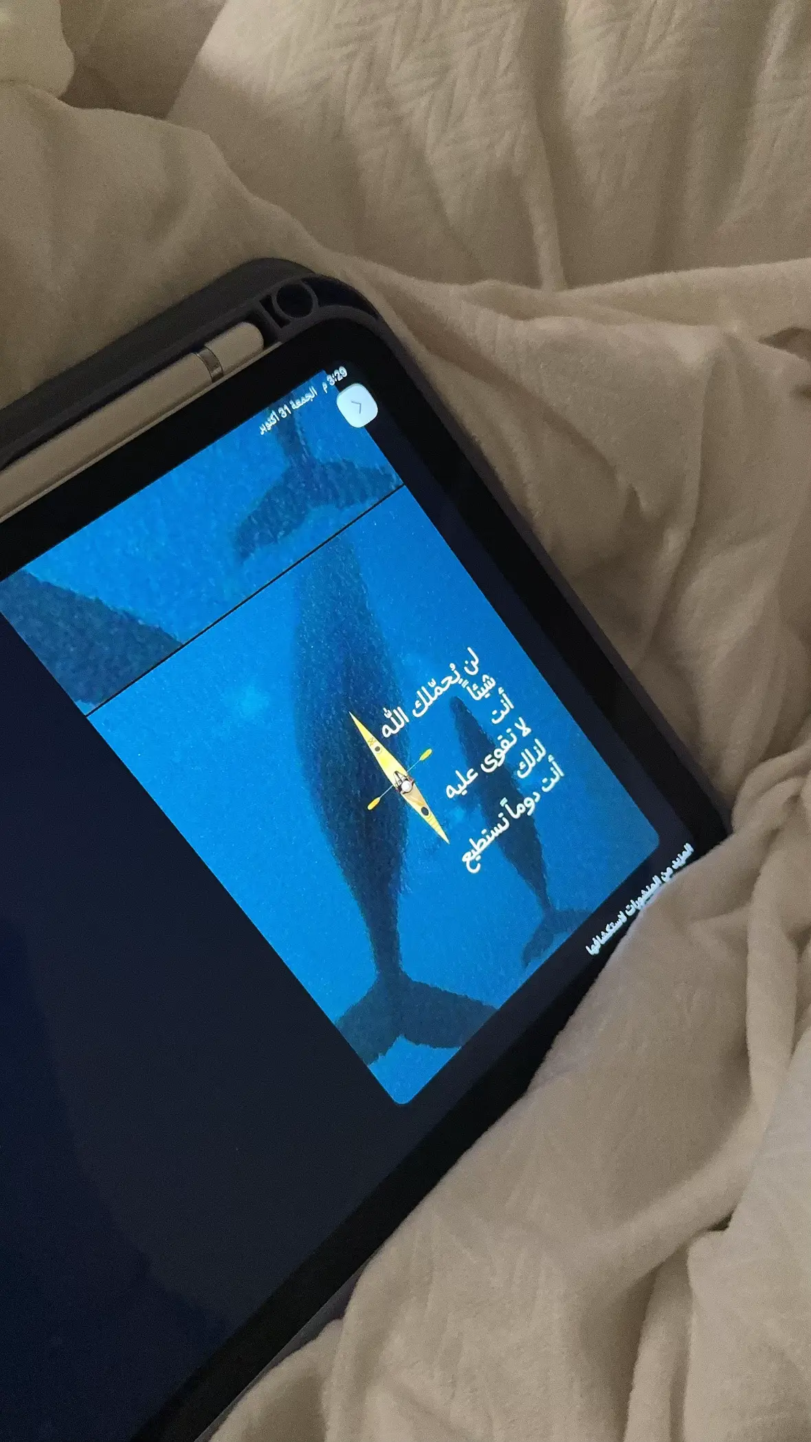 #ثق #يارب_فوضت_امري_اليك #explore #كن_قويًا #مالي_خلق_احط_هاشتاقات🧢 