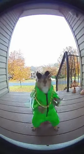 who 🫵 #fyp #funny #viral #sora #ai 