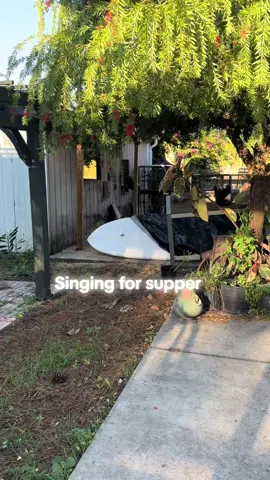 Guess what time it is? #wildlifeeducation #AnimalFacts #natureeducation #wildlifeconservation #wildlifeawareness  #educationalcontent #learnwithme #animalsofinstagram #wildlifephotography #macaws #wildanimals #learnaboutanimals #animalplanet #wildlifeexplained #naturelovers  #wildlifeenthusiast #wildlifevideo #animalbehavior #conservationeducation #DidYouKnow  #warthogs #wildlifelovers #wildlifechannel #animaleducation #parrotsofinstagram  #wildlifelearning #environmentaleducation #animals101 #discoverwildlife #animalsofinstagram