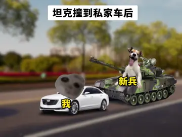 #香蕉猫#猫meme #猫emm剧场 #猫meme故事 