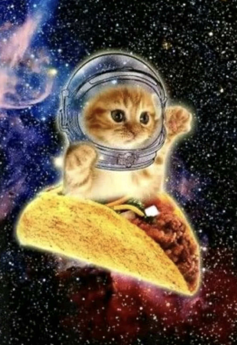 i love elysia ^_^ and cyrene too ig #fyp #elysiahonkai #elysia #hi3 #honkaiimpact3rd 